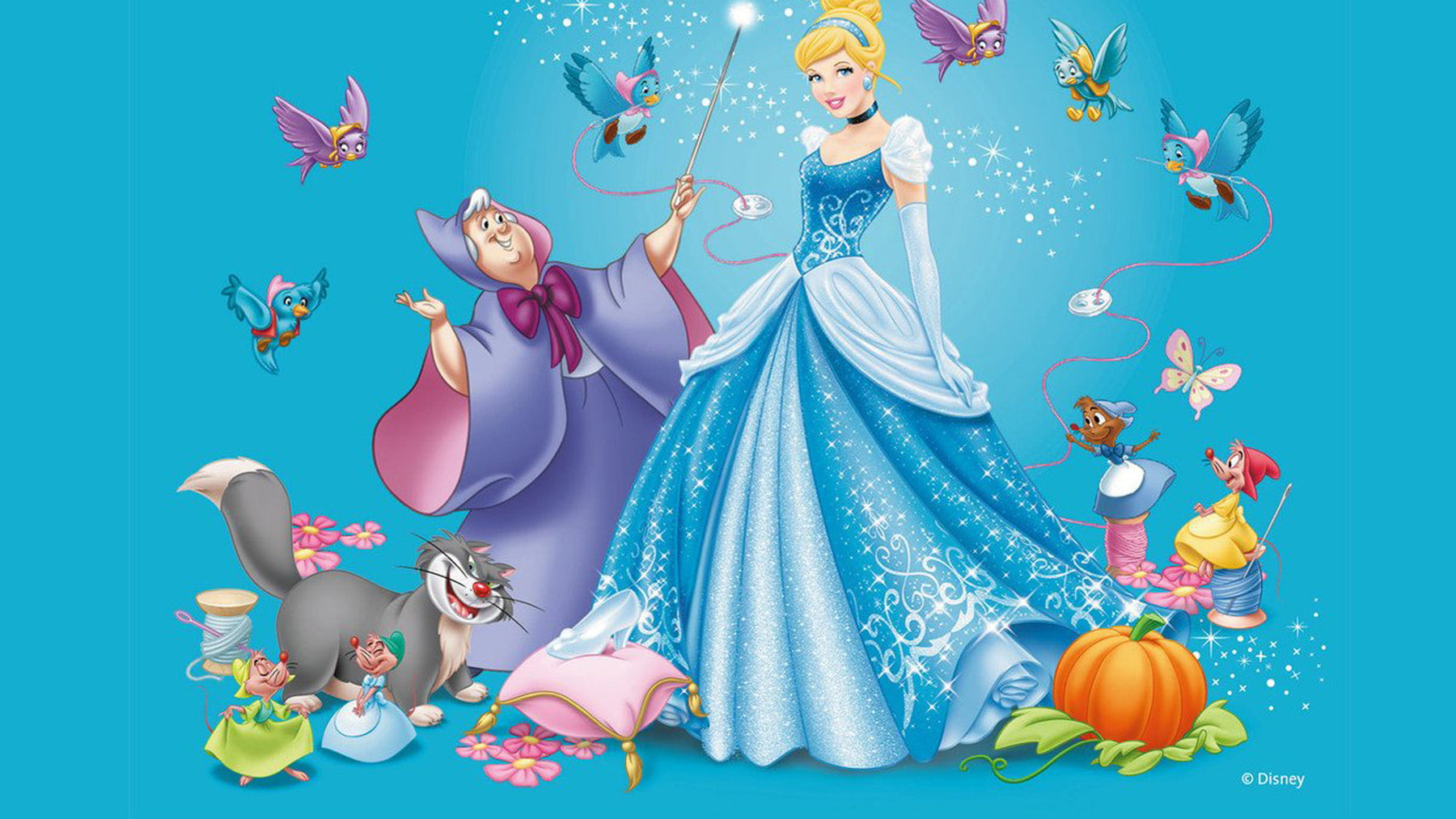 Cinderella: A Story of Kindness and Hope