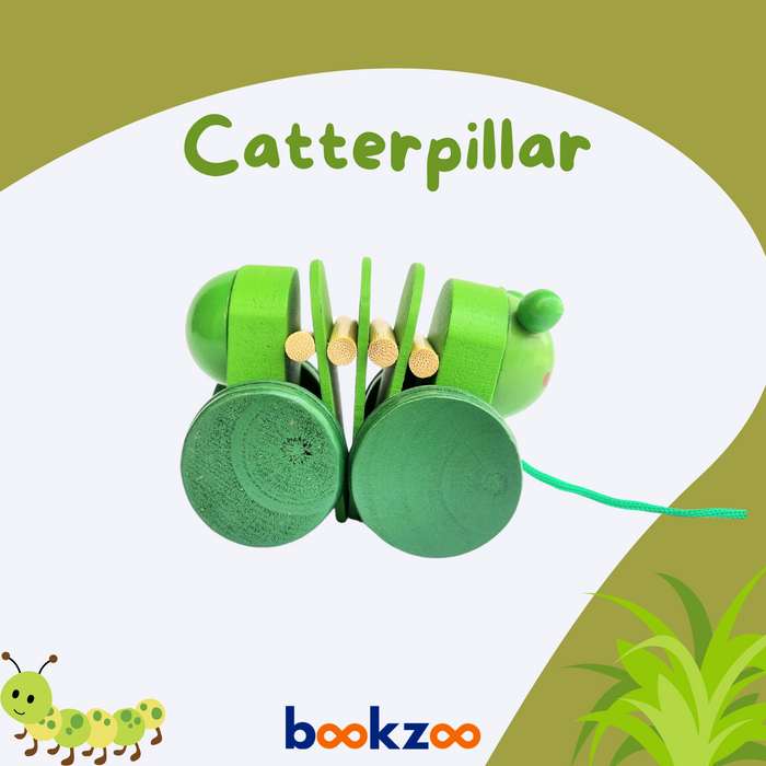 Wooden Caterpillar