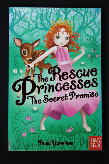 The Rescue Princesses : The Secret Promise