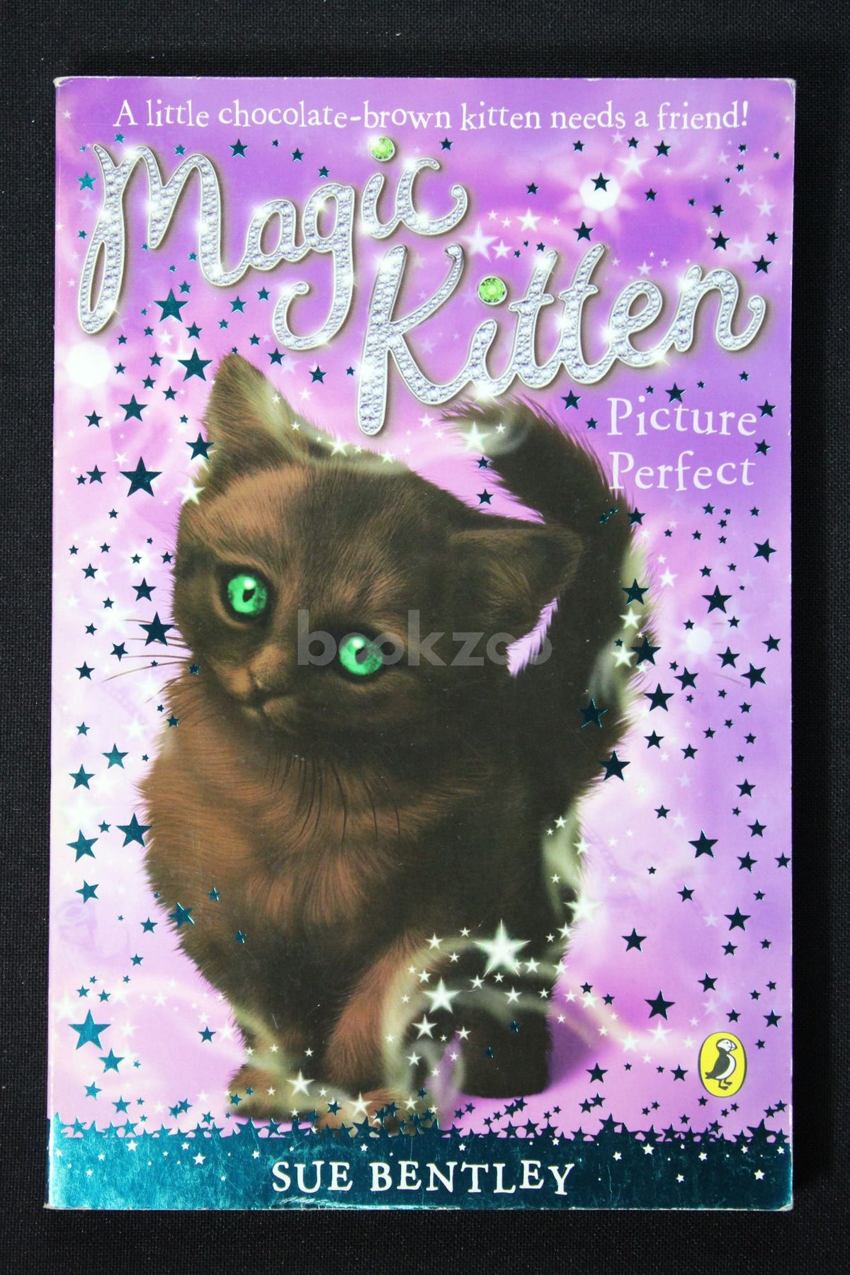 Buy Magic Kitten: Picture Perfect at online bookstore bookzoo.in ...