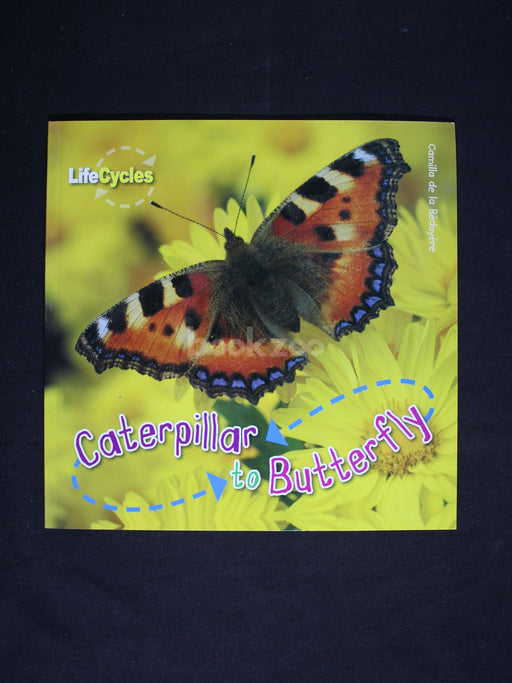 Lifecycles:Caterpillar To Butterfly