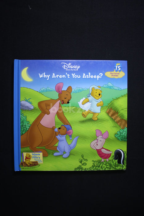 Disney : Winnie the pooh whyaren't you asleep?