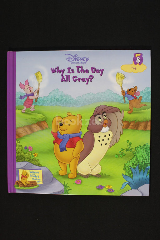 Disney winnie the pooh : Why is the day all gray? 