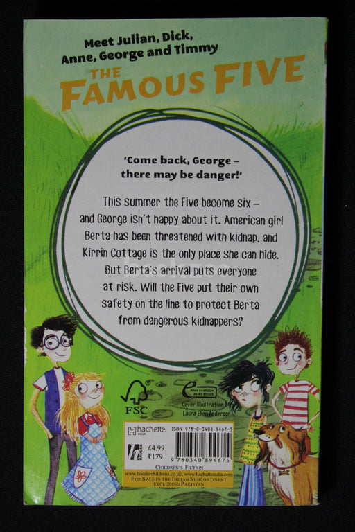 The famous five:Five Have Plenty Of Fun Book 14
