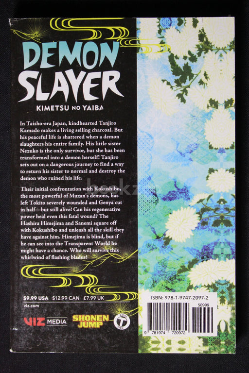 Demon Slayer: Kimetsu no Yaiba, Vol. 20