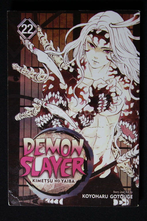 Demon Slayer: Kimetsu no Yaiba, Vol. 22