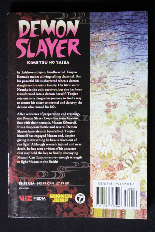 Demon Slayer: Kimetsu no Yaiba, Vol. 22