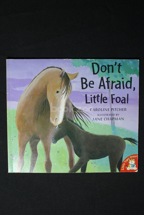 Don't be Afraid, Little Foal