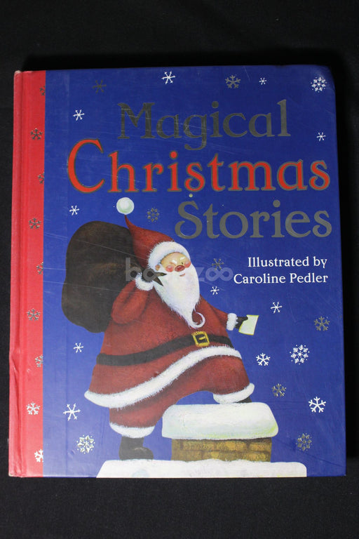 Magical christmas stories 