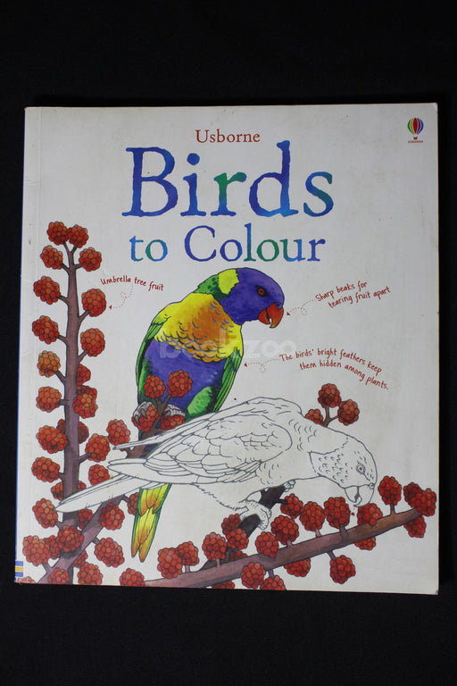 Birds To Colour