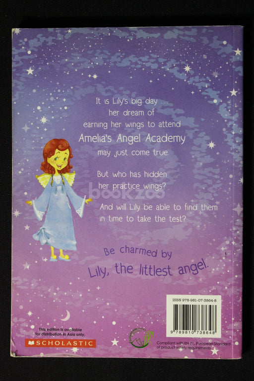 The Littlest Angel: Lily Gets Her Wings