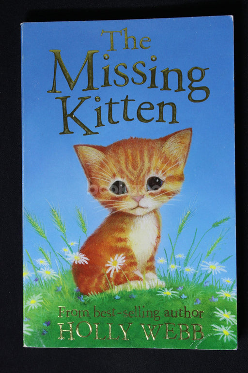 Animal Stories : The Missing Kitten