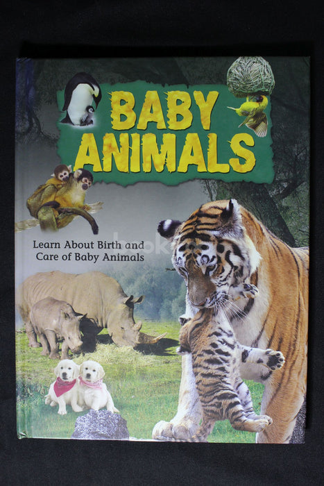 Baby Animals