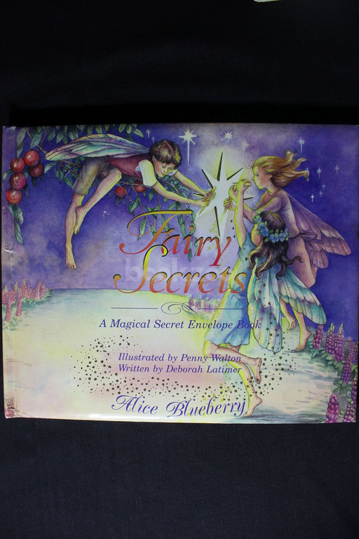 Fairy Secrets: A Magical Secret Envelope Book