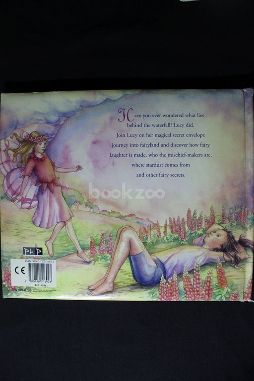 Fairy Secrets: A Magical Secret Envelope Book