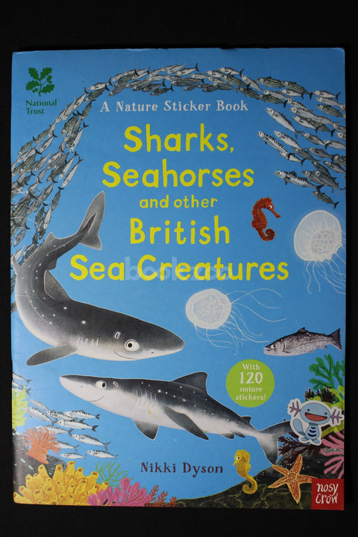 Sharks seahorses and other british sea creatures 
