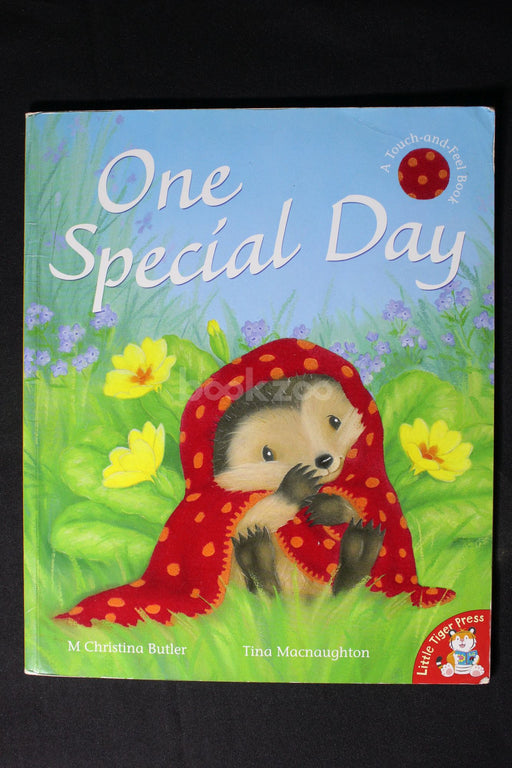 One Special Day