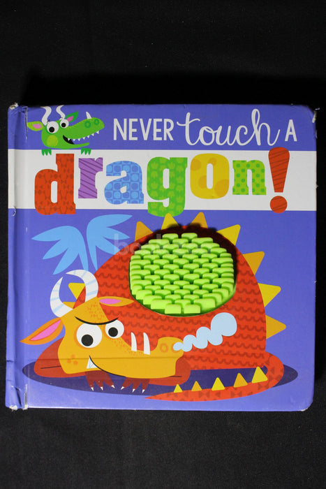 Never Touch A Dragon 