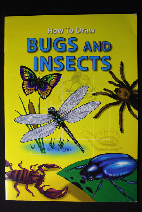 How to Draw Bugs and Insects