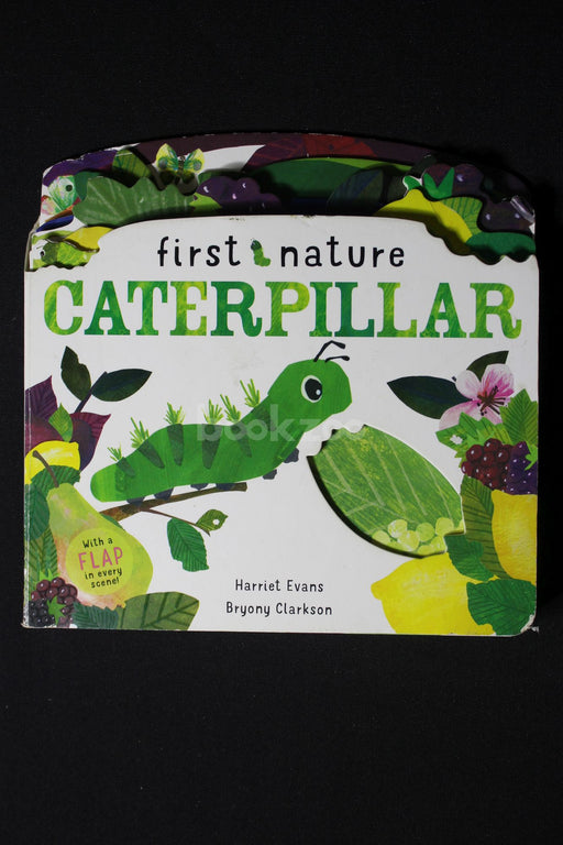 First Nature- Caterpillar