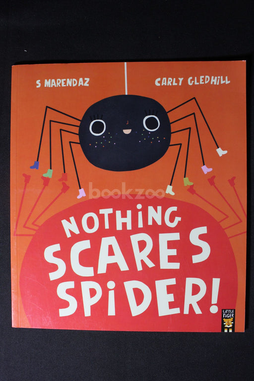 Nothing Scares Spider