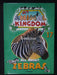 My Animal Kingdom All about Zebras