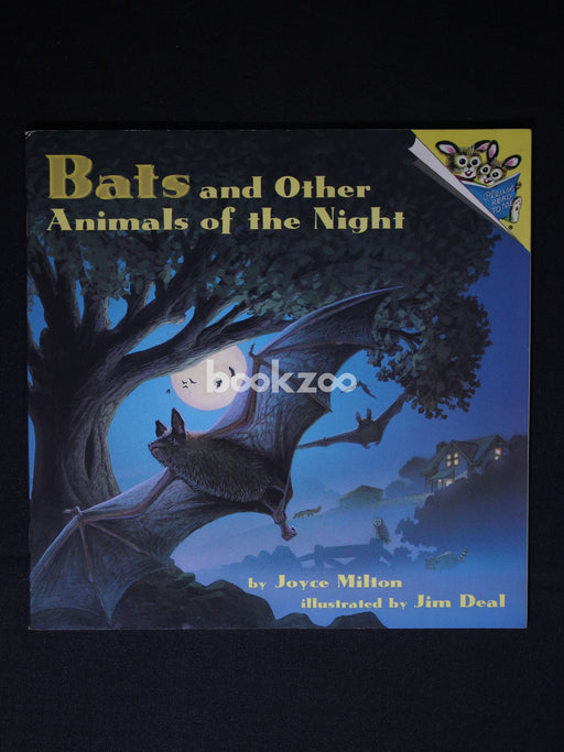 Bats and Other Animals of the Night