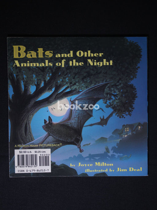 Bats and Other Animals of the Night