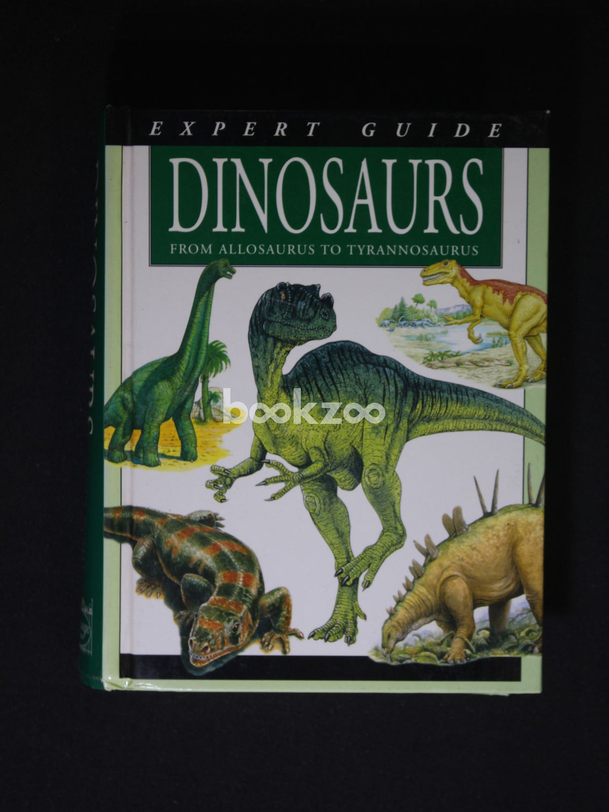 Buy Dinosaurs From Allosaurus to Tyrannosaurus by Gerrie McCall at ...