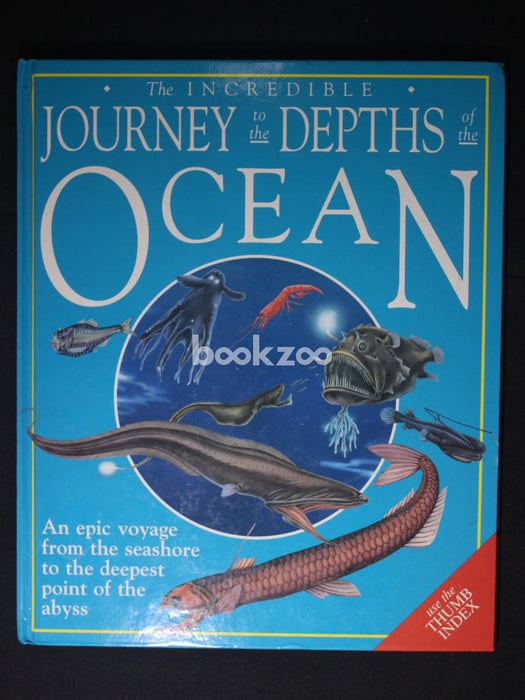 The incredible journey to the Depths ocean