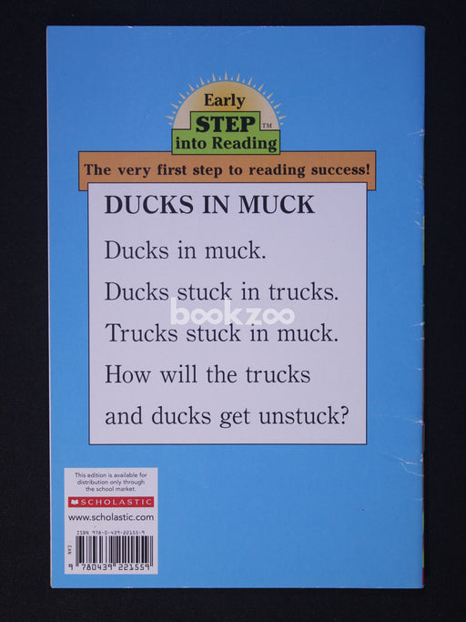 Ducks in Muck