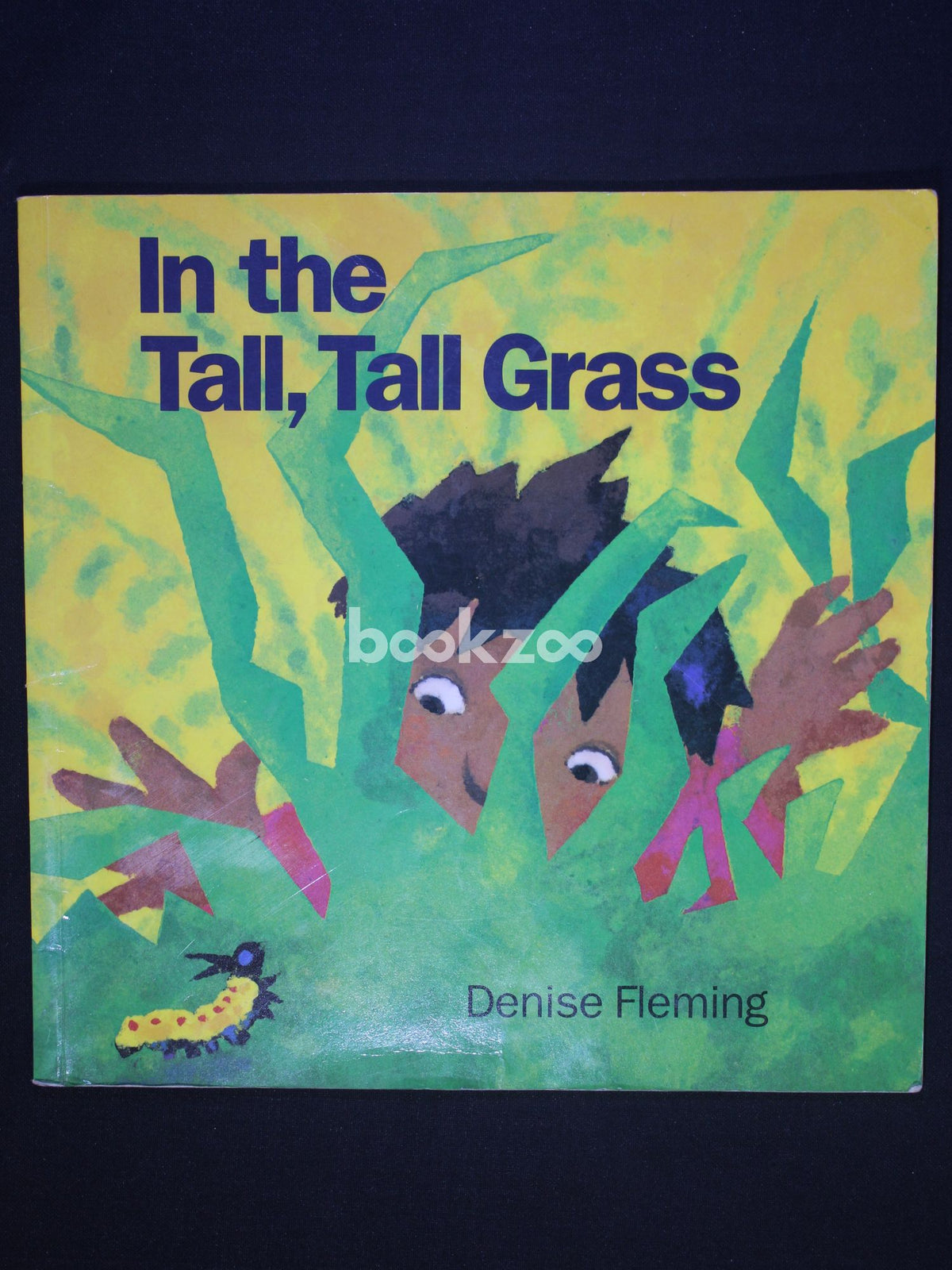 buy-in-the-tall-tall-grass-by-denise-fleming-at-online-bookstore