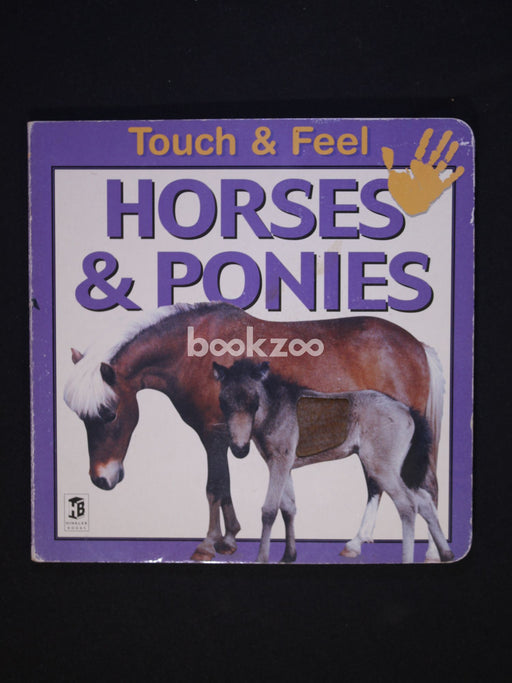 Horses & Ponies (Touch & Feel)