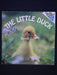 The Little Duck
