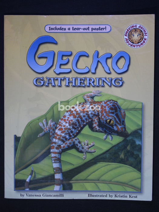 Gecko Gathering PB