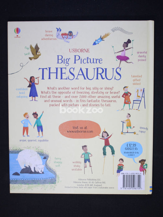 MY BIG PICTURE THESAURUS