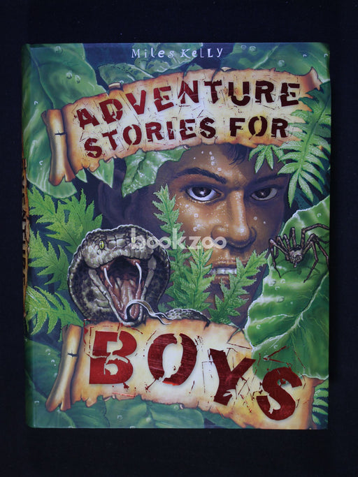 Adventure Stories for Boys