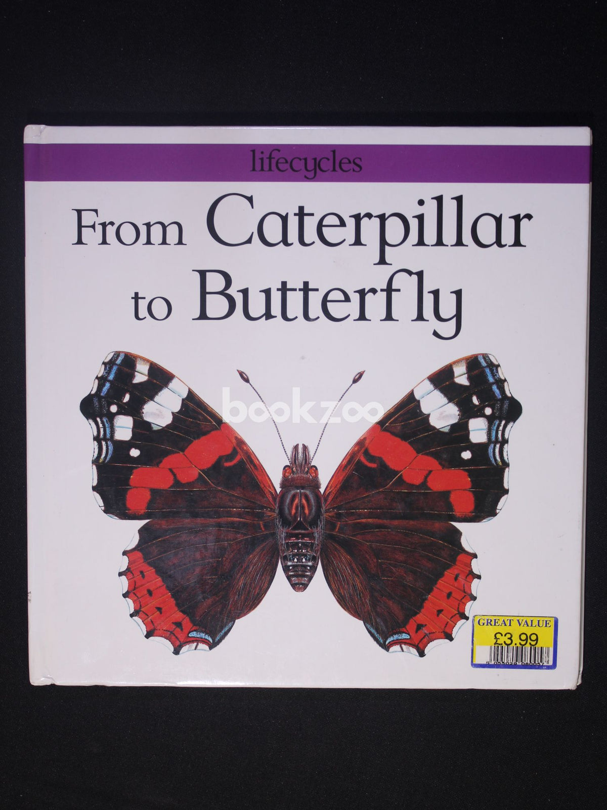 Buy From Caterpillar to Butterfly (Lifecycles) by David Stewart