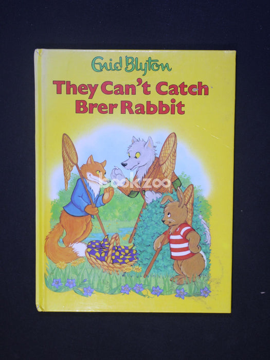 They Can't Catch Brer Rabbit (Toddlers Library)