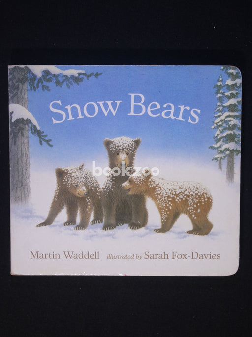 Snow Bears