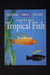 Care For Your Tropical Fish (Rspca Pet Guides)