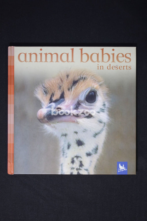Animal Babies in Deserts