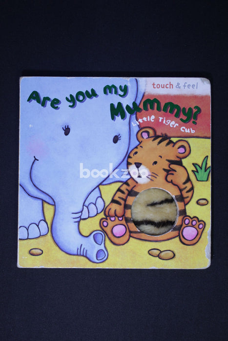 Little Tiger: Are You My Mummy?