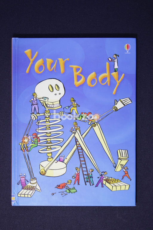 Your Body (Beginners)