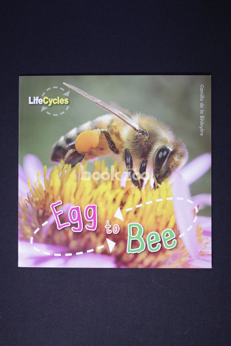 Egg to Bee