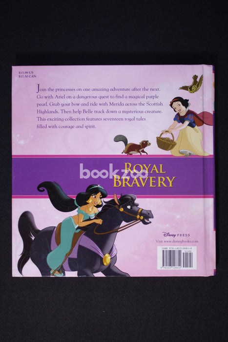 Disney Princess Adventure Stories