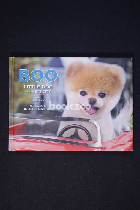 Boo: Little Dog in the Big City