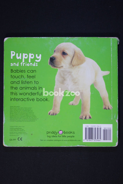 Touch, Feel And Listen Puppy And Friends (Bright Baby)