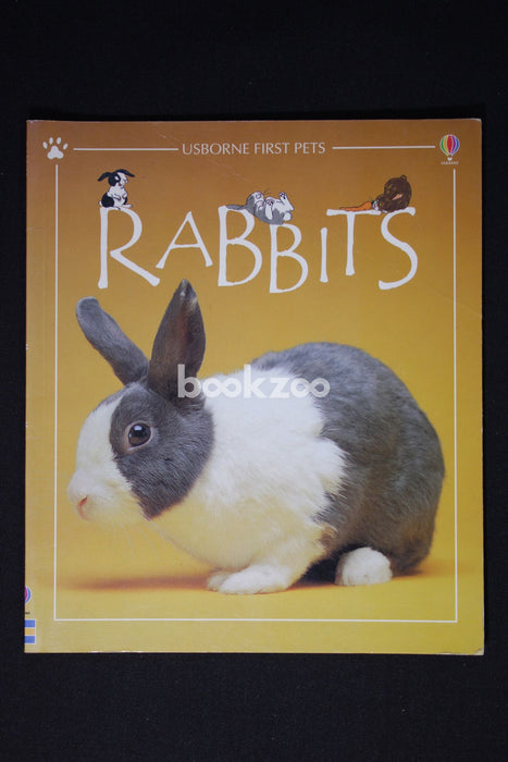 Usborne First pets:Rabbits