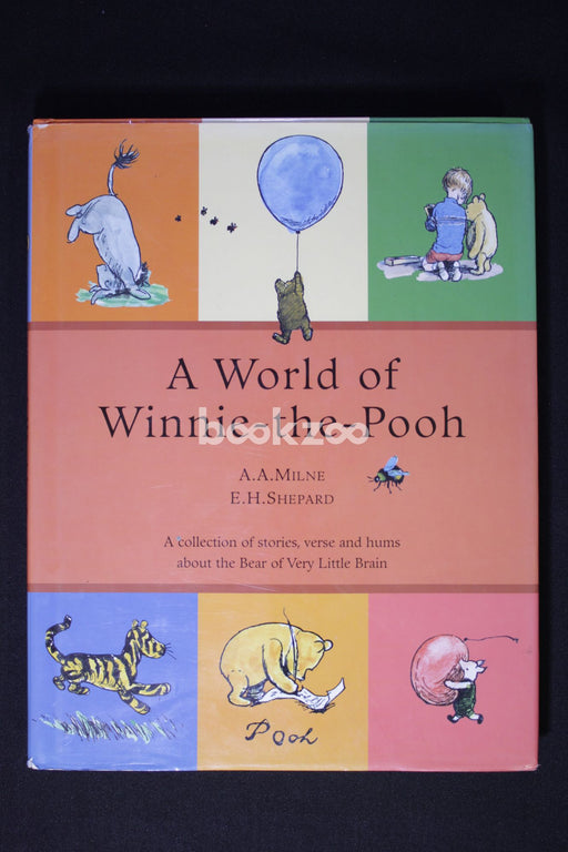 A world of Winnie the pooh